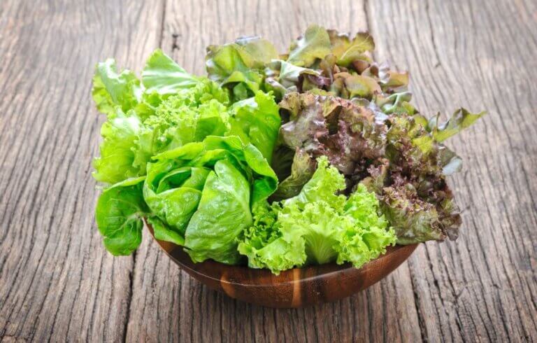 Can You Freeze Lettuce?