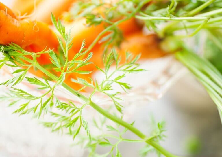 If you're keen to prevent waste, you might have asked yourself whether it's possible to freeze carrot tops.