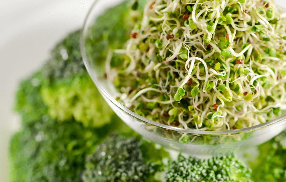 Can You Freeze Broccoli Sprouts?
